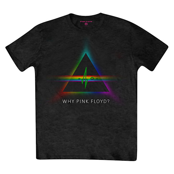 Pink Floyd Unisex Adult Why Back Print T-Shirt L Svart Black L