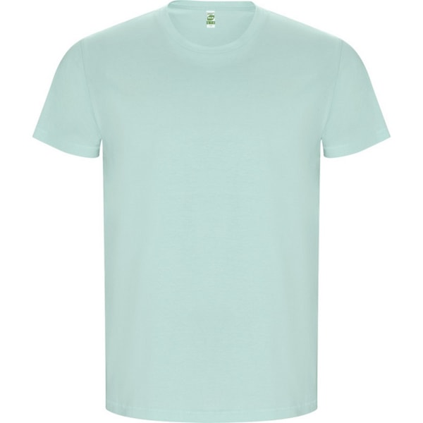 Roly herr Golden Plain kortärmad T-shirt L Mint Mint L