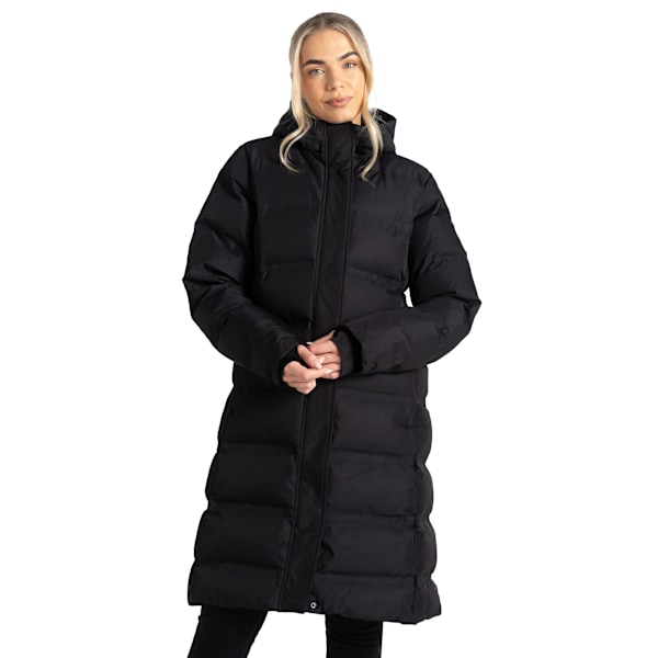 Dare 2B Dam/Kvinnor Wander Vadderad Jacka 12 UK Svart Black 12 UK