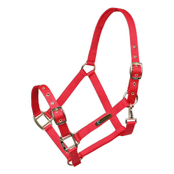 ARMA Justerbart Hästgrimma Cob Röd Red Cob