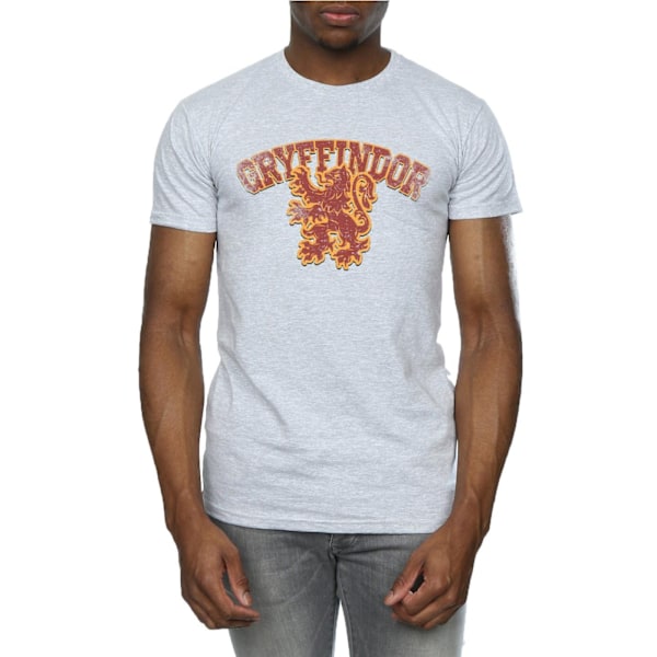 Harry Potter T-shirt för män Gryffindor Sport Emblem 3XL Sports Grå Sports Grey 3XL