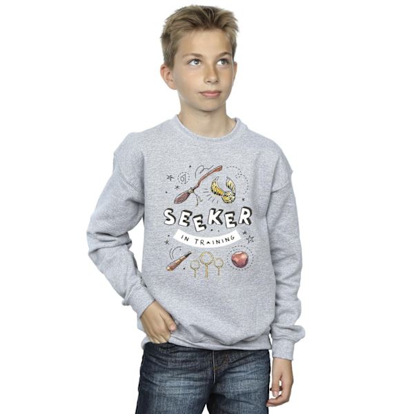 Harry Potter Boys Seeker In Training Sweatshirt 3-4 år Sport Sports Grey 3-4 Years