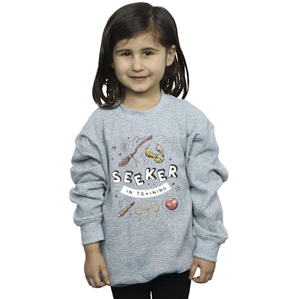 Harry Potter Girls Seeker In Training Sweatshirt 5-6 år Spor Sports Grey 5-6 Years