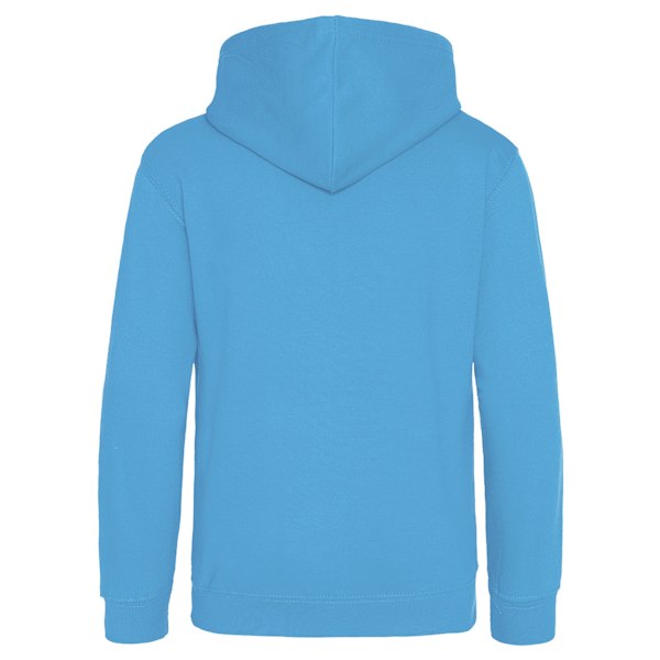 Awdis Unisex Barn Hoodie / Tröja / Skoluniform 12-13 år Sapphire Blue 12-13 Years