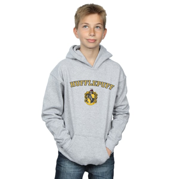 Harry Potter Boys Hufflepuff Crest Hoodie 3-4 Years Sports Grey Sports Grey 3-4 Years