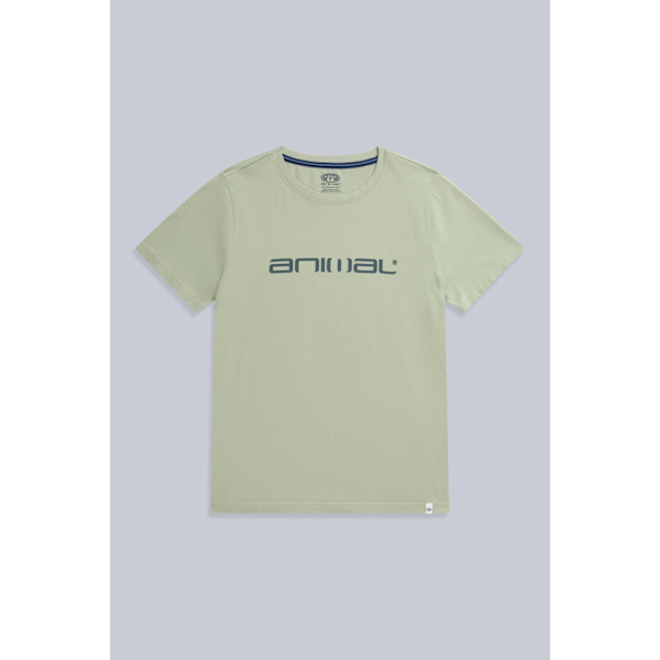 Animal Womens/Ladies Leena ekologisk bomull boxig T-shirt 16 UK Pa Pale Green 16 UK
