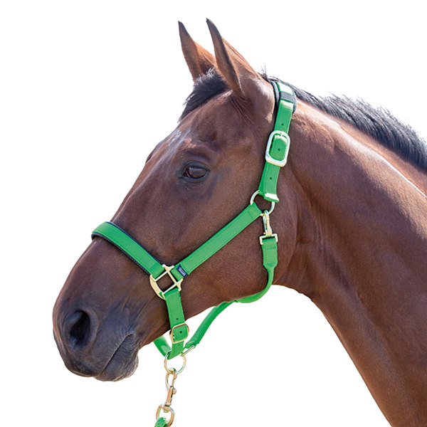 Shires Topaz Nylon Hästgrimma XX Small Pony Grön Green XX Small Pony