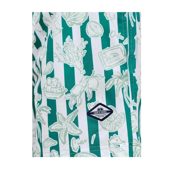 Jack And Jones Badshorts för män Seashell L Grön Green L