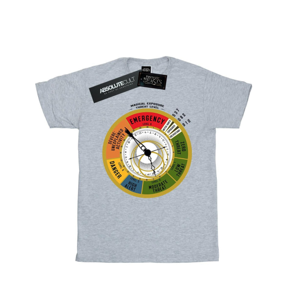Fantastic Beasts Boys Threat Level T-shirt 9-11 år Sport Gr Sports Grey 9-11 Years
