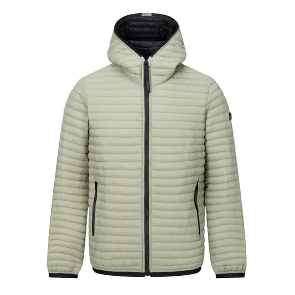 Regatta Herr Rigain Vadderad Jacka L Ljus Sage Light Sage L