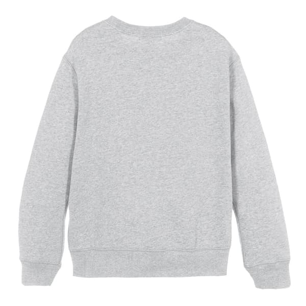 Spider-Man Barn/Barn Hoppy Spring Sweatshirt 12-13 år A Athletic Heather 12-13 Years