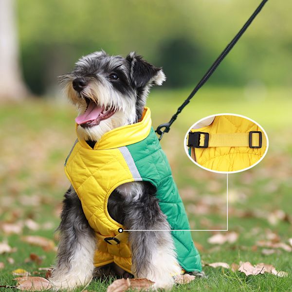 Vinter Bomull Husdjur Hundkläder Varma Valpkappa Vinterjacka Green  yellow 4XL