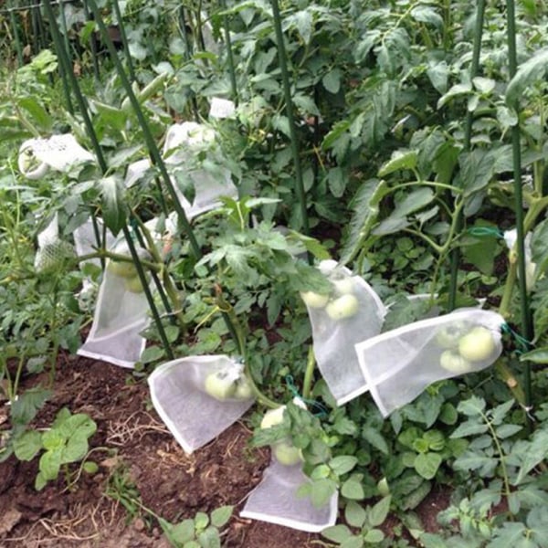 Trädgårdsväxt- och fruktskyddsnät med dragsko _ anti-insekt 25cm*35cm