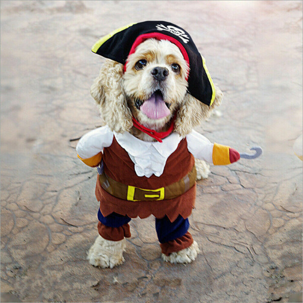 Halloween Husdjur Hund Katt Piratkläder Suite Caribbean Cosplay XL