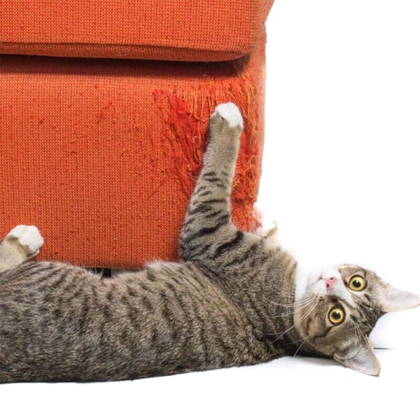 Husdjur Katt Anti-Scratch Tejp Rull Soffa Soffa Möbelskydd