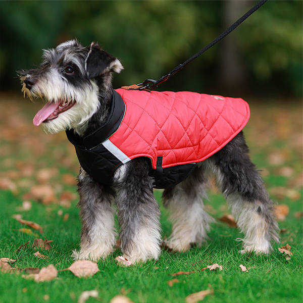 Vinter Bomull Husdjur Hundkläder Varma Valp Rock Vinterjacka Red  black 4XL