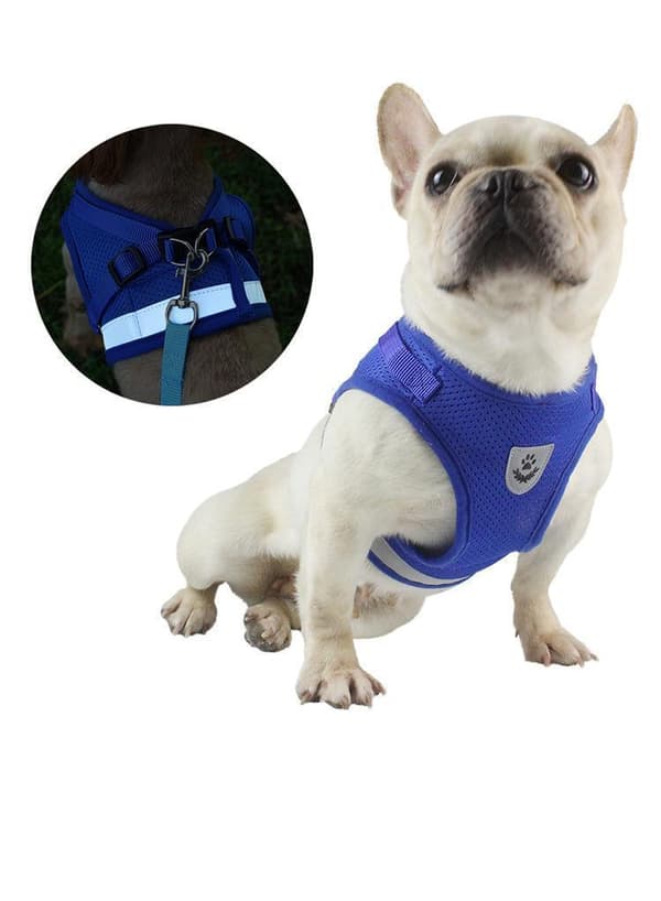 Hundsele med koppel och reflex Black S