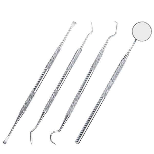 Oral Hygiene Set Silver one size