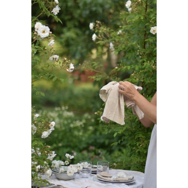 Napkins 4- or 6-pack Grey one size