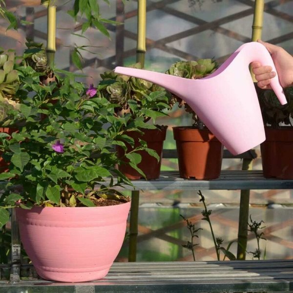 1 Watering Can - Indoor Watering Can for Plants Flowers Plastic Watering Can 1L - Long Spout (Pink)