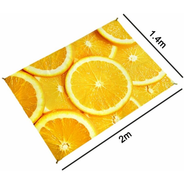 Printed Beach Blanket Anti-Sand-Extra Large Mat for Outdoor Picnic -Waterproof Foldable with Portable Trip Camping Fishing Pile Style 3 1.42