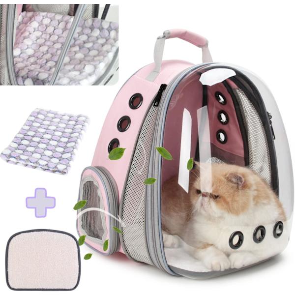 Bubble pet online