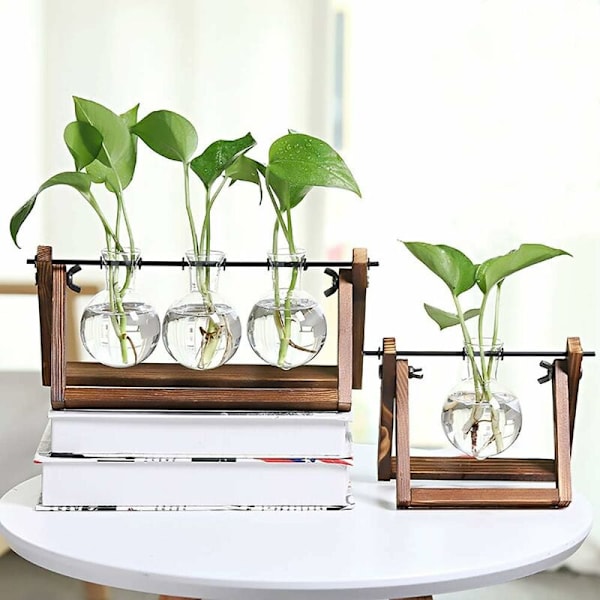 Glasvaser, glasvas med trästativ och metallstång för hydroponiska växter, heminredning (3 terrarium)