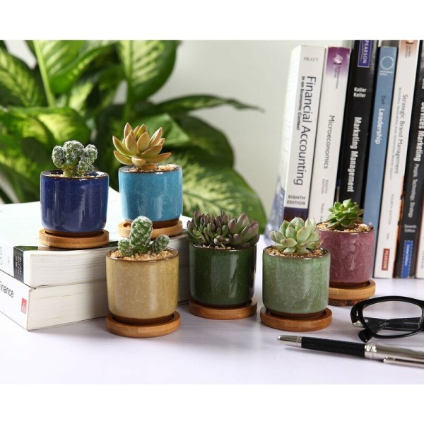 6cm Zisha Ceramic Plant Pots with Bamboo Tray - 6 Pack, Succulent Cactus Flower Pot Planter Container