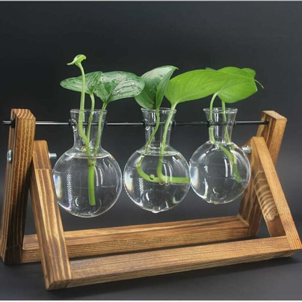 Glasvaser, glasvas med trästativ och metallstång för hydroponiska växter, heminredning (3 terrarium)