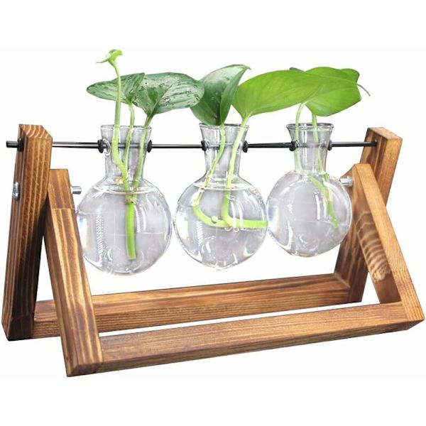 Glasvaser, glasvas med trästativ och metallstång för hydroponiska växter, heminredning (3 terrarium)