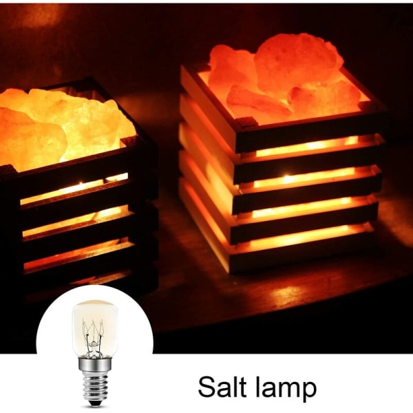 Ugnslampa 25W 300 Grader E14 T25 Glödlampa 2700K Varmvit Dimbar Pygmé Lampor för Ugn, Mikrovågsugn, Saltlampa, P