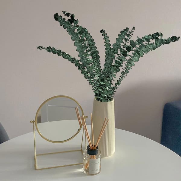 Dusj Eucalyptus Hengende - Eucalyptus Blader Bunt - Tørkede Eucalyptus Stengler Eucalyptus Plante Eucalyptus Garland Eucalyptus Stengler Eucalyptus