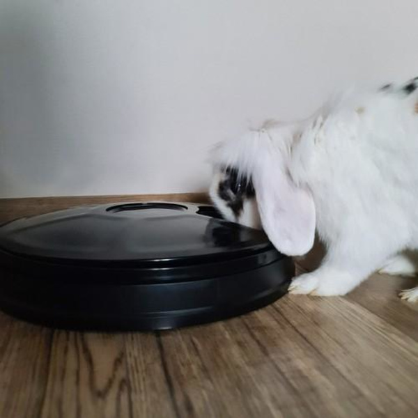 Automatisk hunde-/kattefoder til 6 måltider med timer. Black