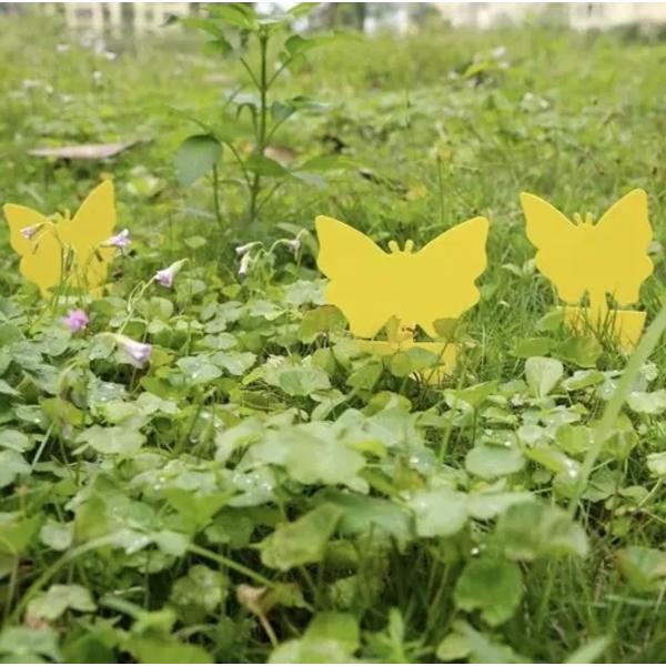 Klibbig Insektsfälla 12-pack Gul