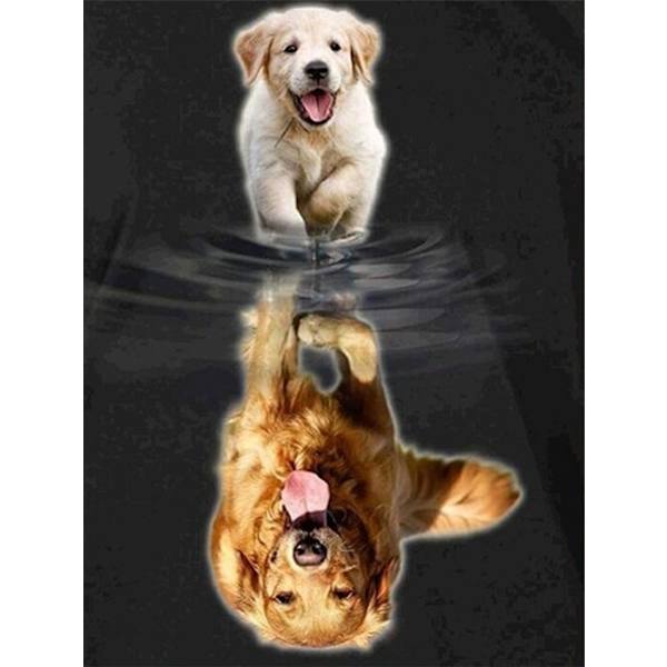Diamond Painting / Diamantmålning - 30x40cm - Hund Multicolor