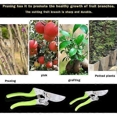 Professional Bypass Pruning Shears Garden Pruners Garden Scissors Pruning Tools (Green)