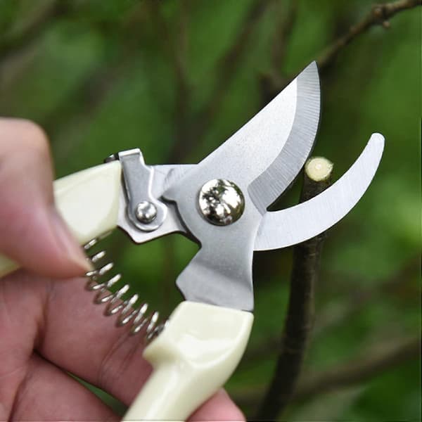 Garden Shears, Bypass Pruning Shears, for Pruning Plants and Flowers, Ergonomic Stainless Steel Handle.