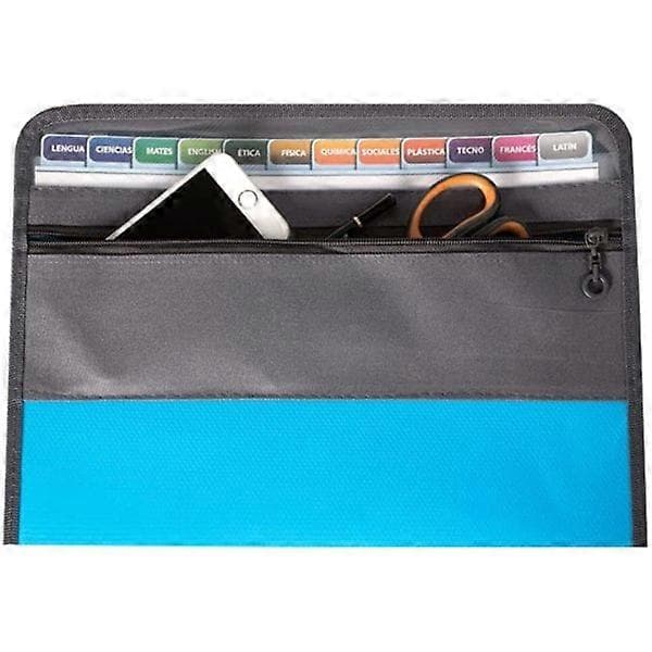 Portable A4 Folder, Organizer Bag, 13-Layer Expandable Accordion Folder for Desktop, File Box Two-in-One
