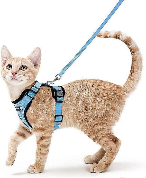 Cat Harness and Leash for Walking, Escape Proof Soft Adjustable Vest Harnesses for Cats