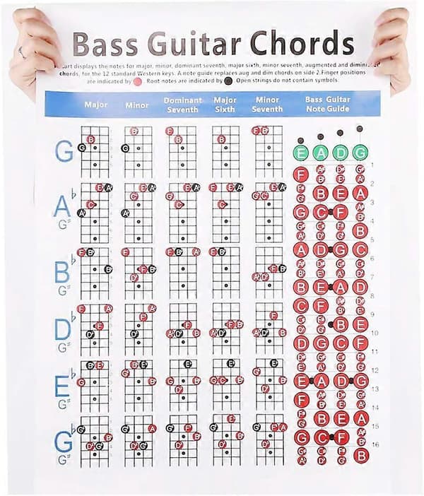 41*57cm Basgitarr Ackordstabell för Nybörjare, Konstpapper 4-strängad Greppguide för Musikklassrum och Övning