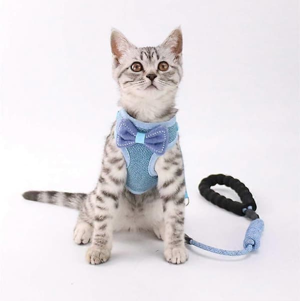 2-pack Cat Harness with Leash, Escape Proof, Adjustable Kitten Walking Jacket, Soft and Breathable Pet Vest