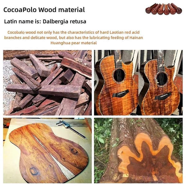 Six Cocoa Polo Bridge Pins for Guitar, Suitable for Amplified String Instruments