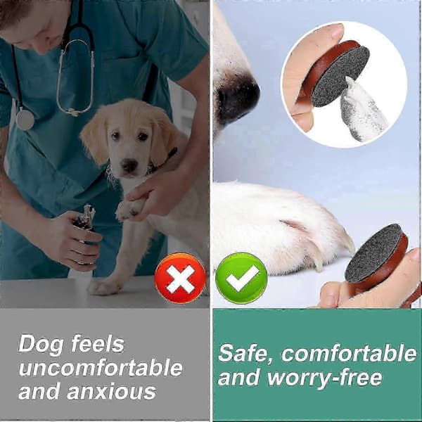 Nagelfil för husdjur med träbas och 7 sandpappersdynor