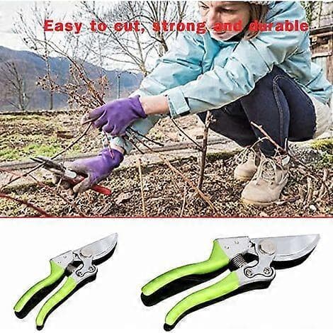 Professional Bypass Pruning Shears Garden Pruners Garden Scissors Pruning Tools (Green)