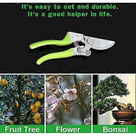 Professional Bypass Pruning Shears Garden Pruners Garden Scissors Pruning Tools (Green)