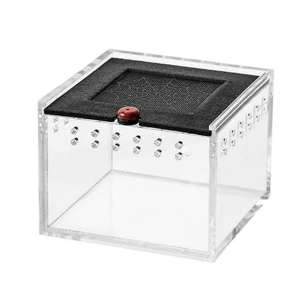Edderkoppekabinet Lille Insektavlskasse Forhindrer Flugt Krybdyr Terrarium Insektfoderbur C
