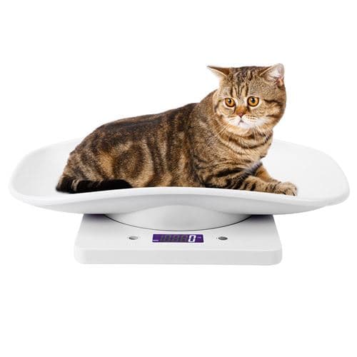 [LCS]Digital vekt 10kg / 1g Kompatibel med katter hunder - Hvit