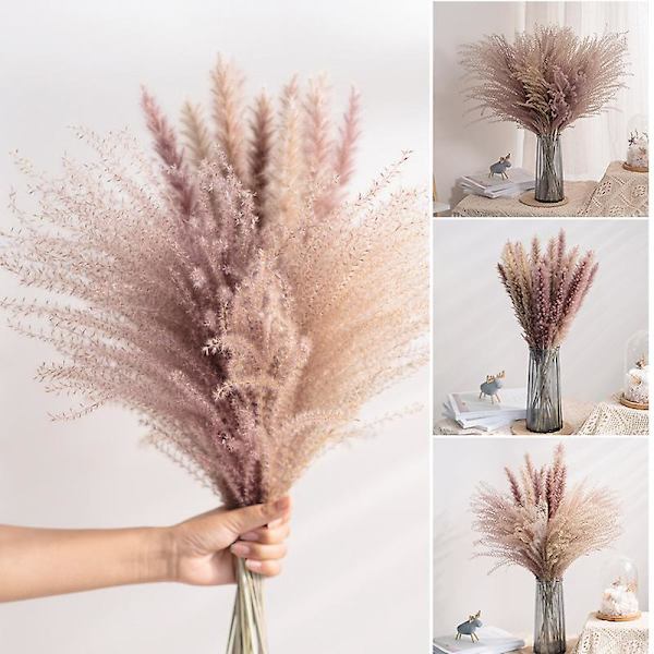 Torkad Blomsterbukett Naturlig Torkad Blomsterbukett Vass Flores Pampas Veteax Setaria För Hemmet A10PCS  B10PCS