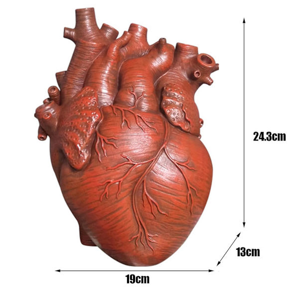 Kreativ Planteringskruka Simulation Hjärta Formad Vas Resin Anatomisk Organ Blomkruka Ornament För Red L