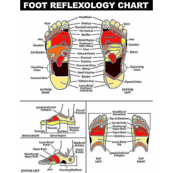 Dobbel Fotmassasjerulle Lindre Plantar Fasciitisshiatsu Akupressur Avslapning